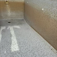 Swimming Pool needing Pristine Cleaning